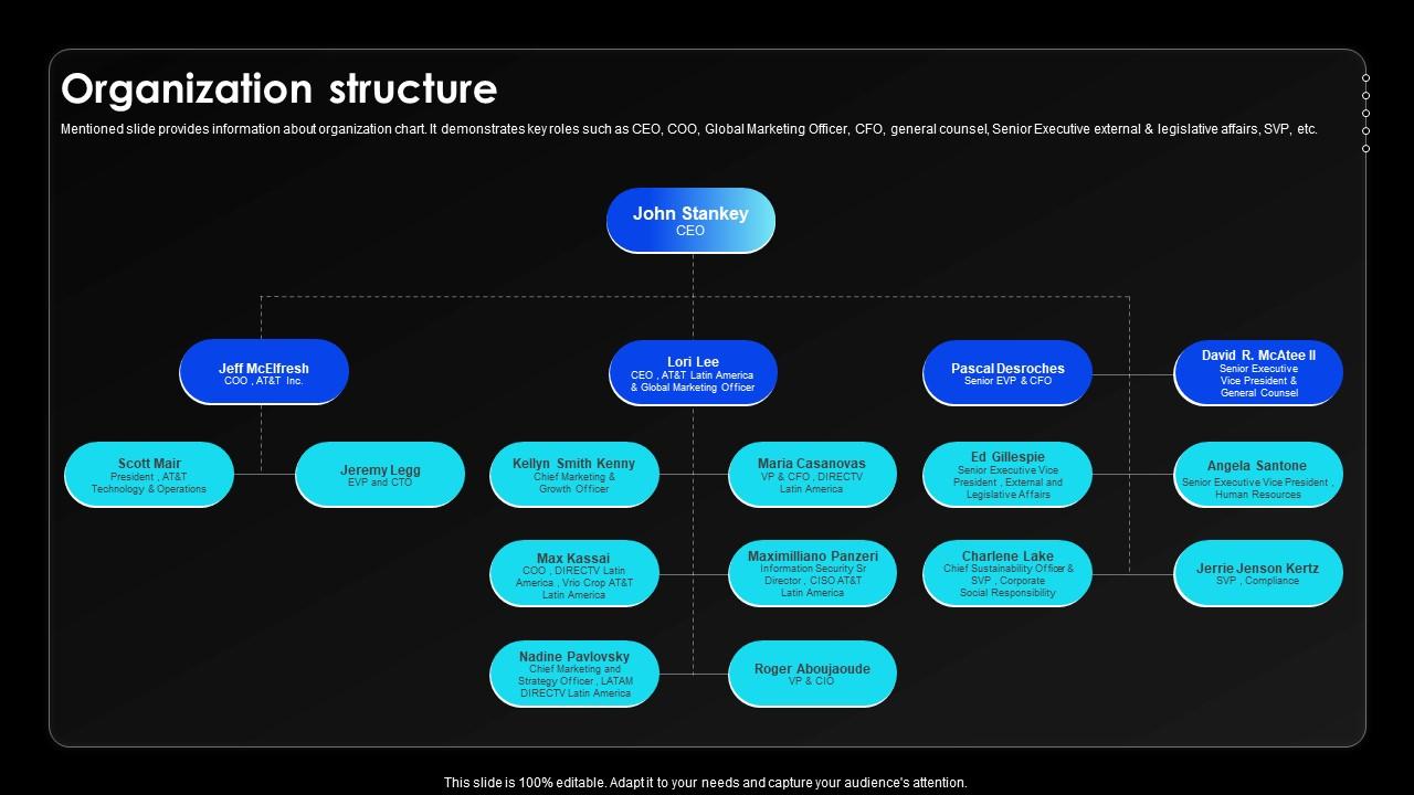 Organization Structure Wireless Communication Services Provider Company Profile CP SS V