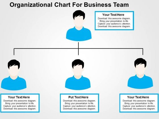 organizational_chart_for_business_team_powerpoint_template_1.jpg