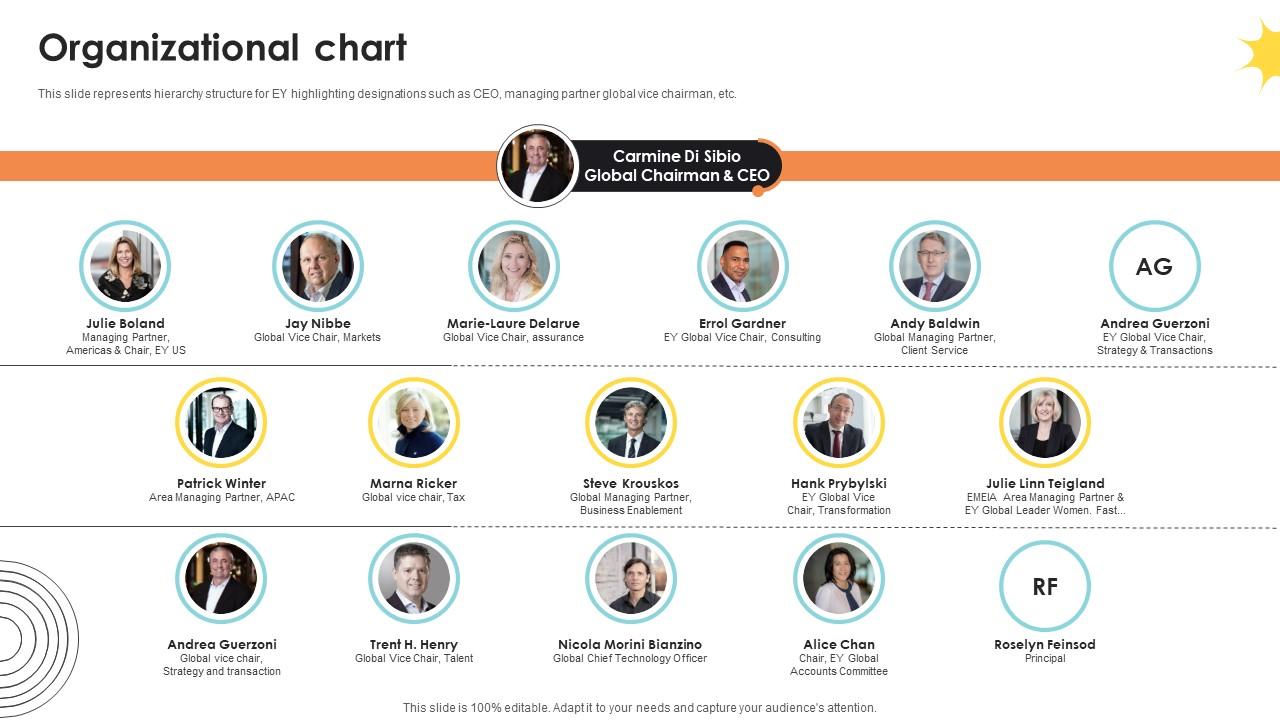 Organizational Chart Professional Services And Tax Advisory Company Profile CP SS V