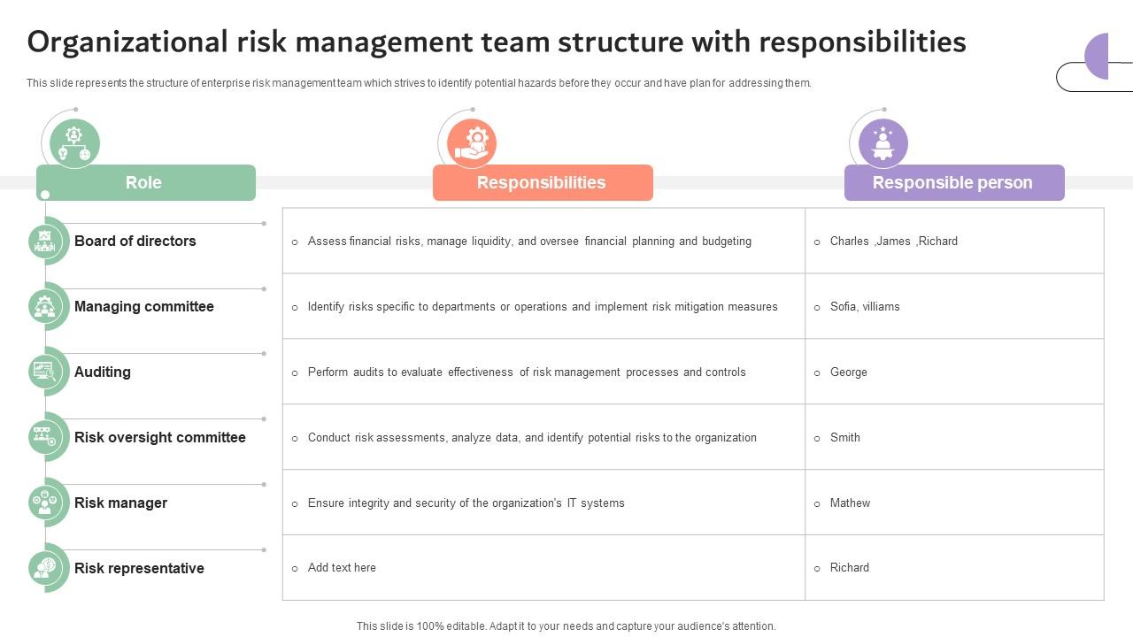 Organizational Risk Management Team Structure With Responsibilities DTE SS V