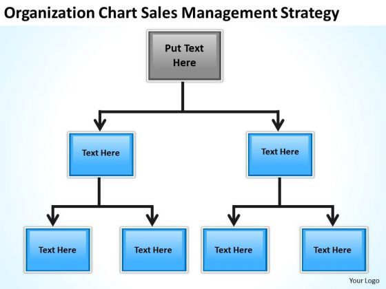 origanization_chart_sales_management_strategy_ppt_business_plan_powerpoint_slides_1.jpg