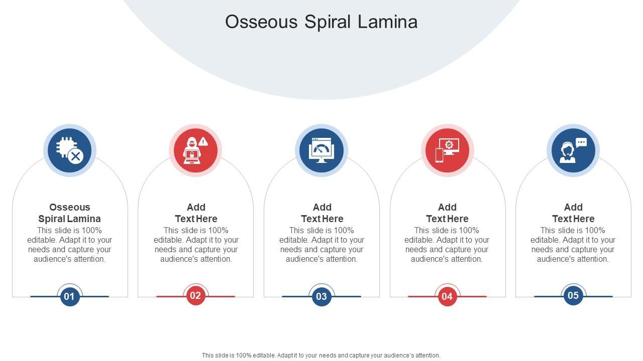Osseous Spiral Lamina In Powerpoint And Google Slides Cpb