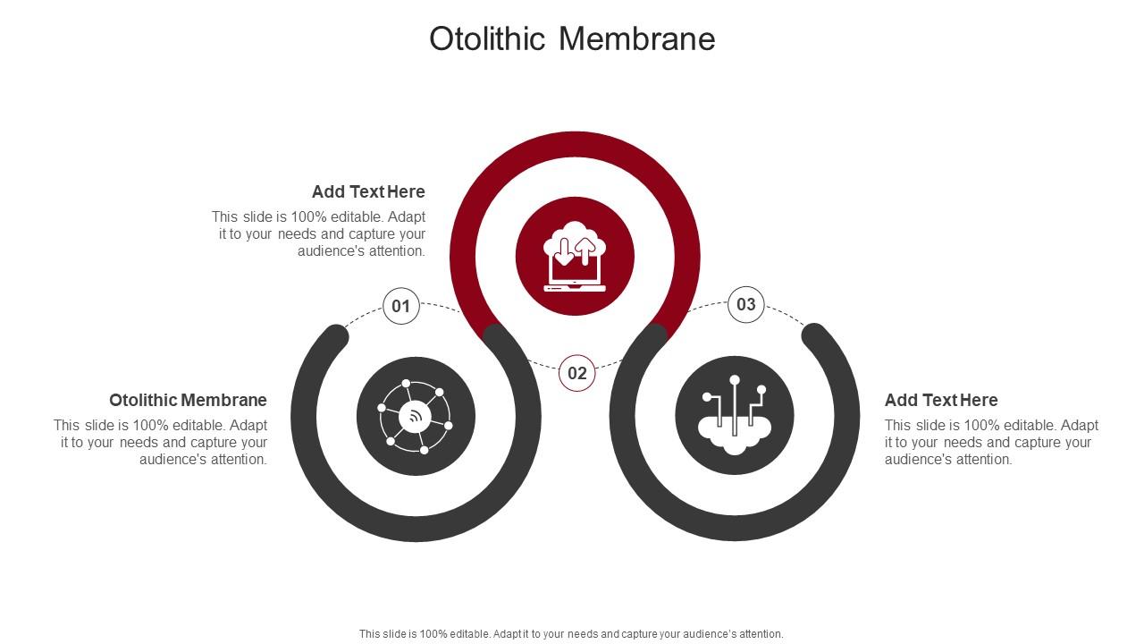 Otolithic Membrane In Powerpoint And Google Slides Cpb