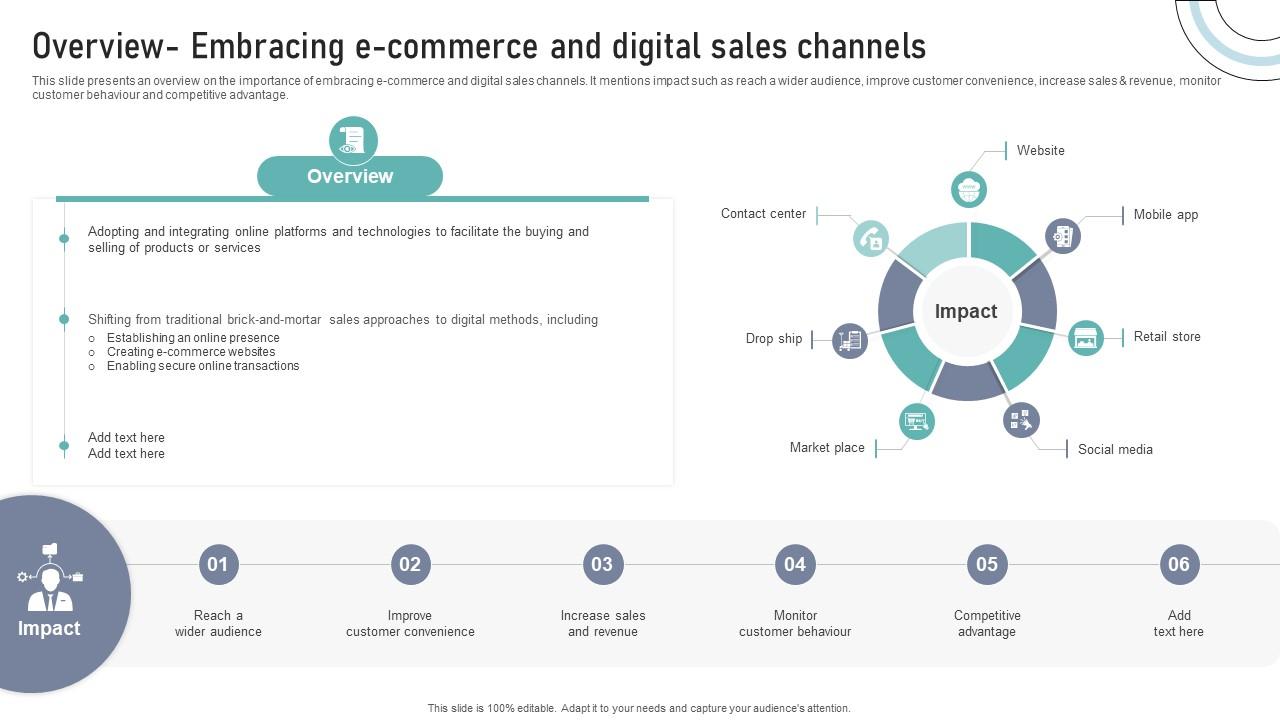 Overview Embracing E Commerce And Digital Sales Channels DT SS V