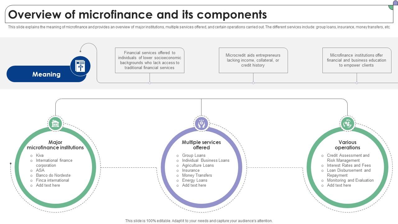 Overview Of Microfinance And Its Components Complete Guide To Microfinance Fin SS V