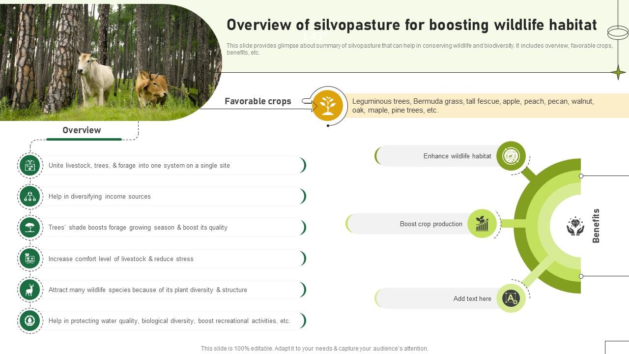 Overview Of Silvopasture For Boosting Wildlife Habitat Adopting Sustainable Farming Techniques
