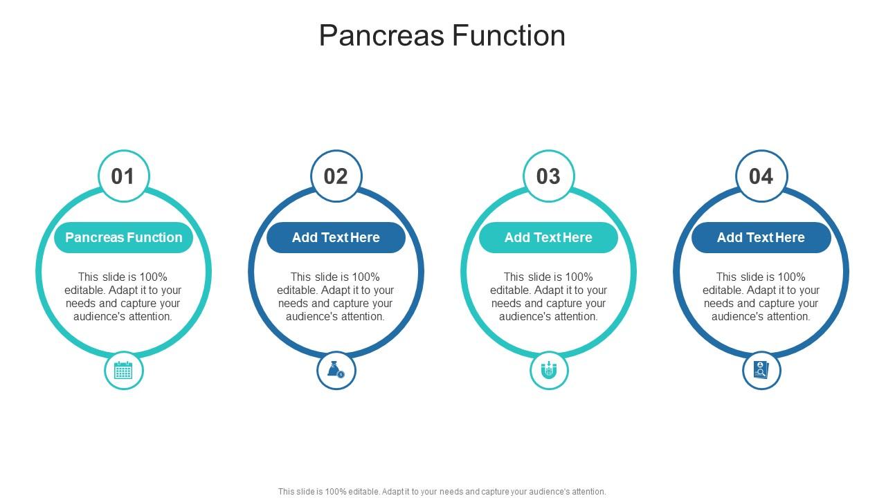 Pancreas Function In Powerpoint And Google Slides Cpb