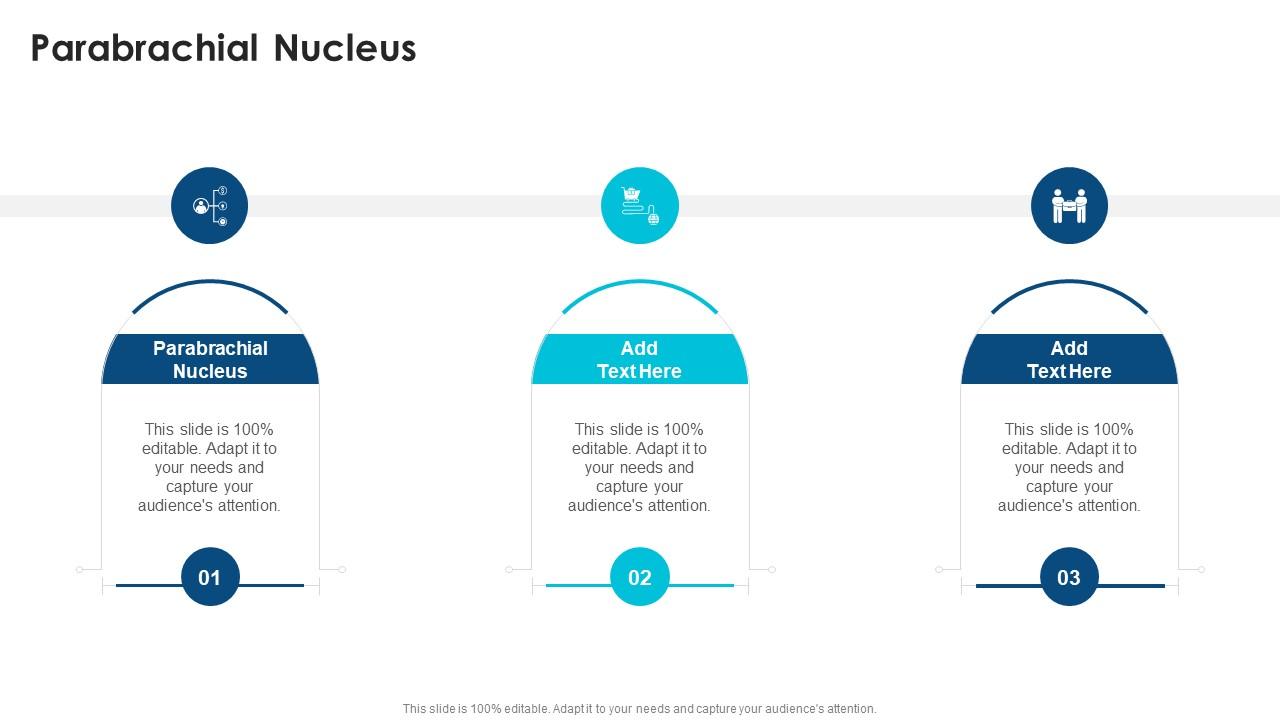 Parabrachial Nucleus In Powerpoint And Google Slides Cpb