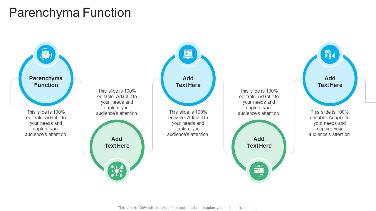 Parenchyma Function In Powerpoint And Google Slides Cpb