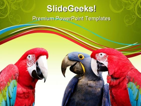 parrot_meeting_animals_powerpoint_templates_and_powerpoint_backgrounds_0611_title.jpg