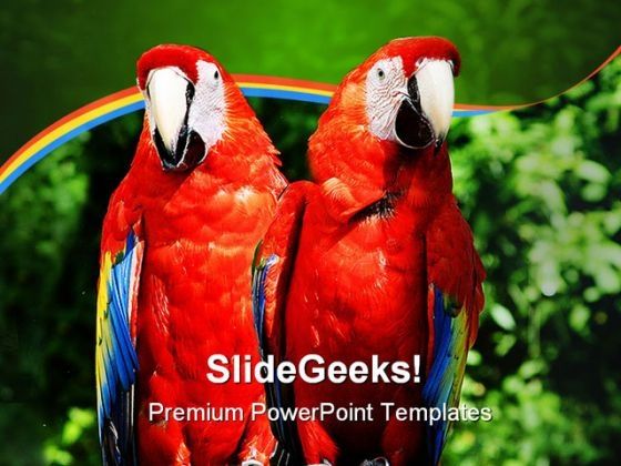 parrots_animals_powerpoint_template_0910_title.jpg