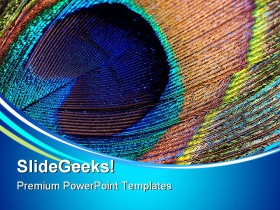peacock_feather_abstract_powerpoint_templates_and_powerpoint_backgrounds_0611_title.jpg