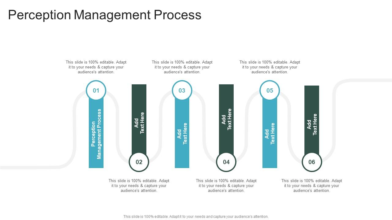 Perception Management Process In Powerpoint And Google Slides Cpb