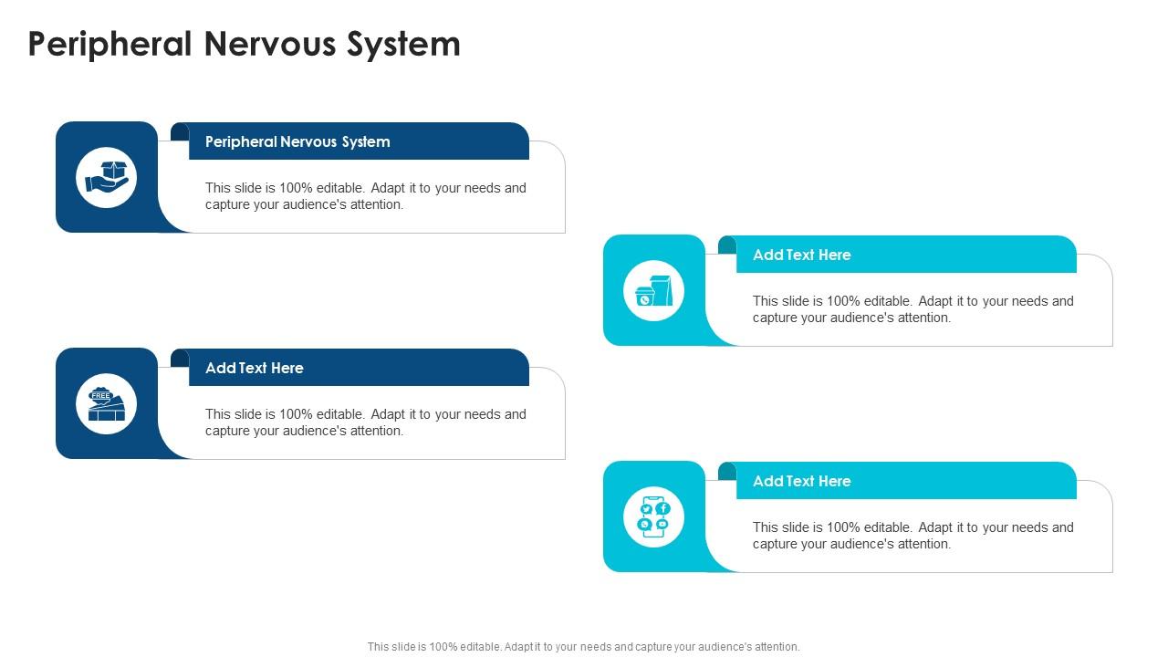 Peripheral Nervous System In Powerpoint And Google Slides Cpb