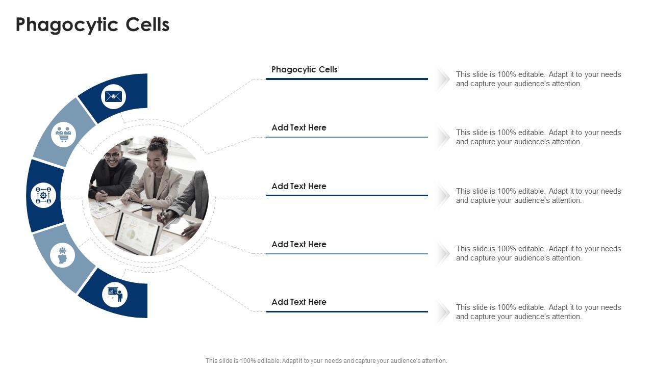 Phagocytic Cells In Powerpoint And Google Slides Cpb