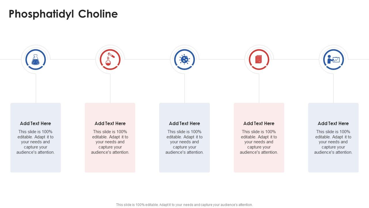 Phosphatidyl Choline In Powerpoint And Google Slides Cpb