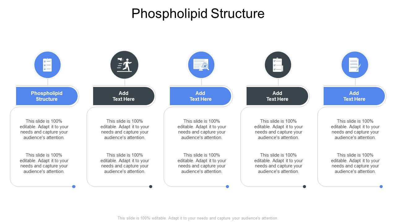 Phospholipid Structure In Powerpoint And Google Slides Cpb