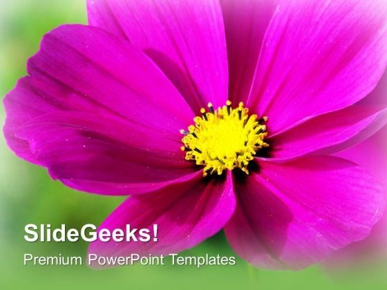 pink_blooming_flower_beauty_powerpoint_templates_ppt_backgrounds_for_slides_0213_title.jpg