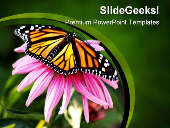 pink_flower_and_butterfly_animals_powerpoint_templates_and_powerpoint_backgrounds_0111_title.jpg