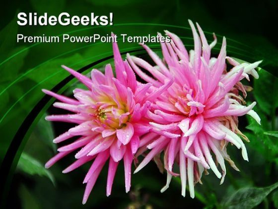 pink_flowers_nature_powerpoint_templates_and_powerpoint_backgrounds_0211_title.jpg