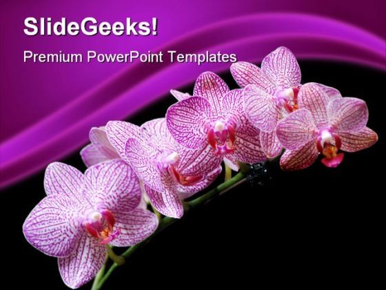 pink_orchids_beauty_powerpoint_templates_and_powerpoint_backgrounds_0311_title.jpg