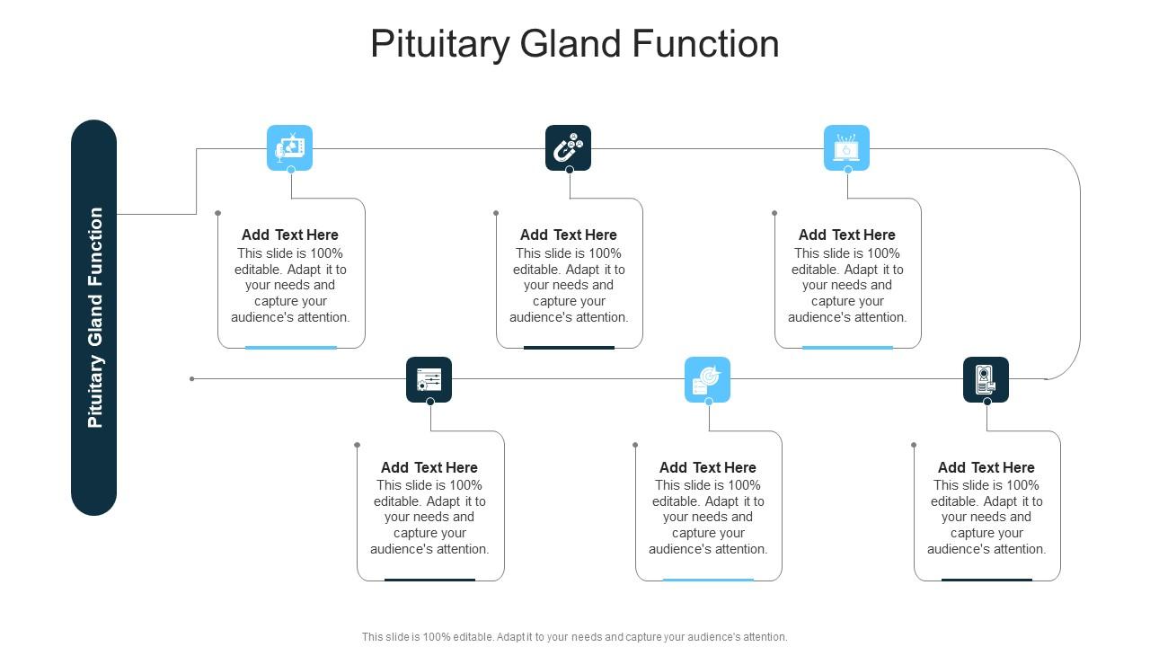 Pituitary Gland Function In Powerpoint And Google Slides Cpb