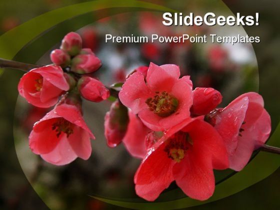 pomegranate_flowers_beauty_powerpoint_templates_and_powerpoint_backgrounds_0211_title.jpg