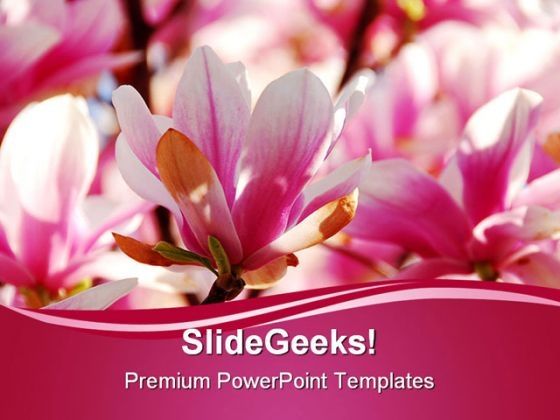 pomegranate_flowers_nature_powerpoint_templates_and_powerpoint_backgrounds_0211_title.jpg