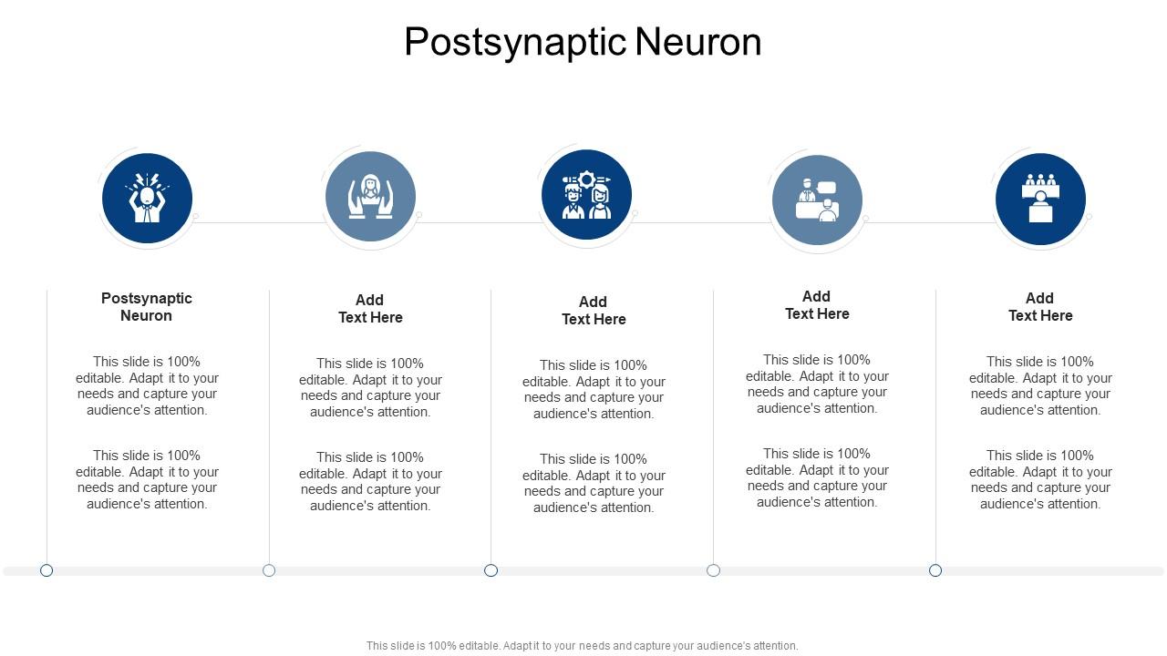 Postsynaptic Neuron In Powerpoint And Google Slides Cpb