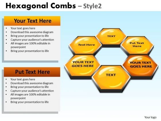 powerpoint_presentation_designs_corporate_designs_hexagonal_combs_ppt_layouts_1.jpg
