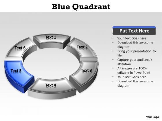 ppt_blue_quadrant_circular_nursing_process_powerpoint_presentation_templates_1.jpg