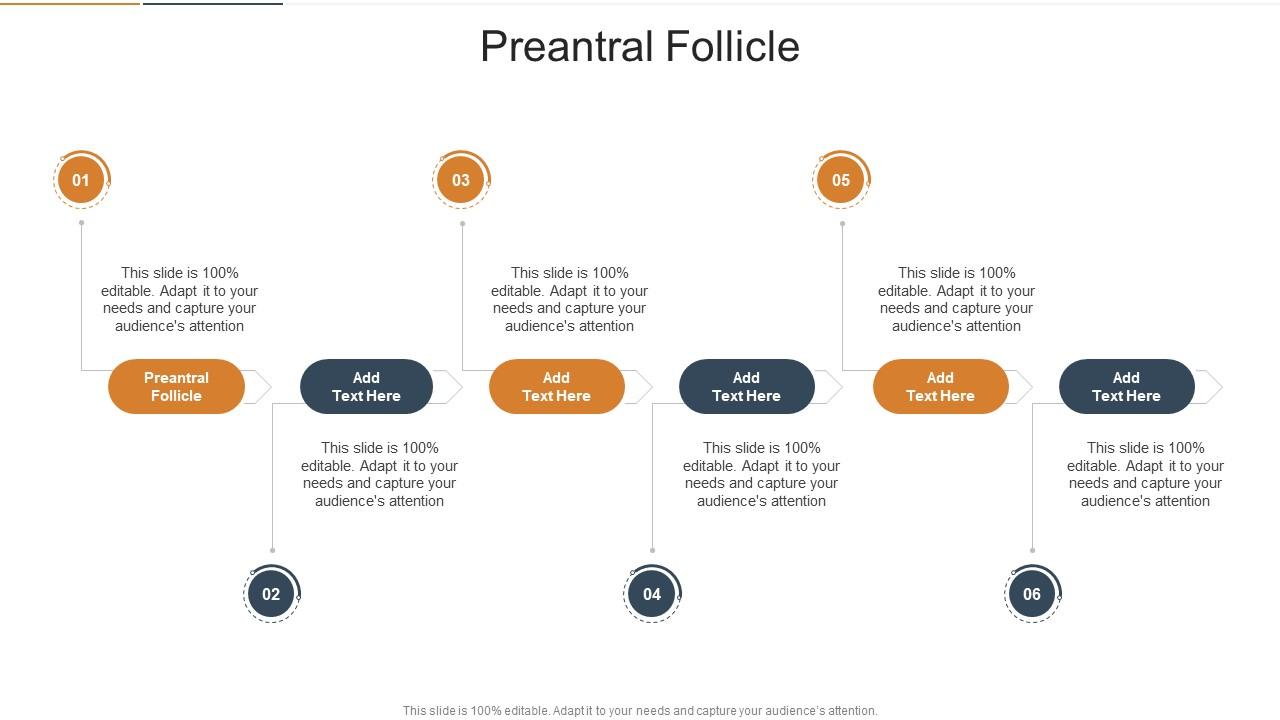Preantral Follicle In Powerpoint And Google Slides Cpb