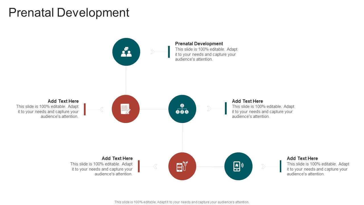 Prenatal Development In Powerpoint And Google Slides Cpb