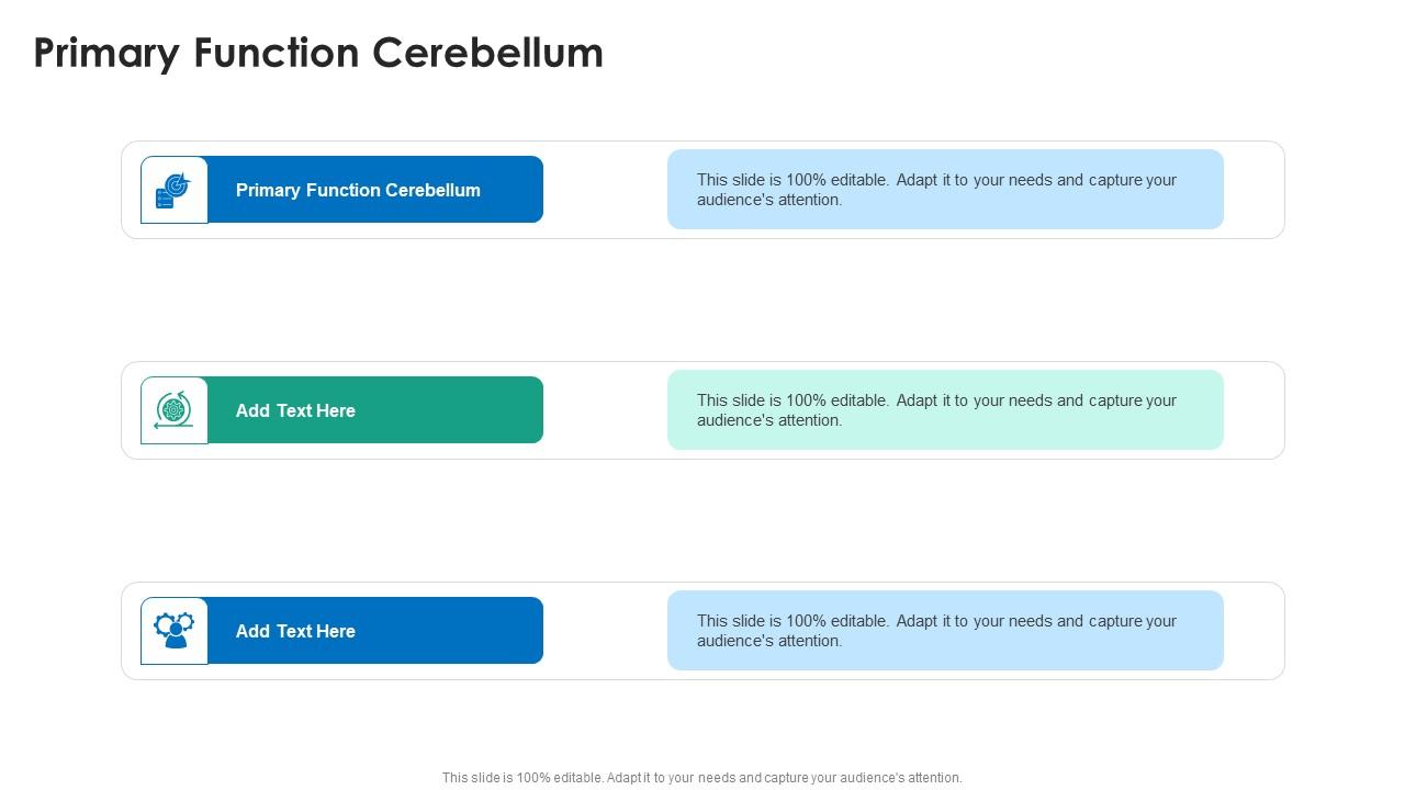 Primary Function Cerebellum In Powerpoint And Google Slides Cpb