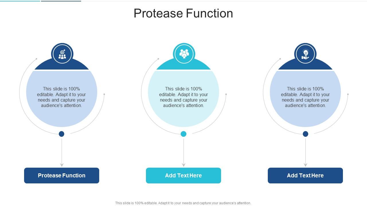 Protease Function In Powerpoint And Google Slides Cpb
