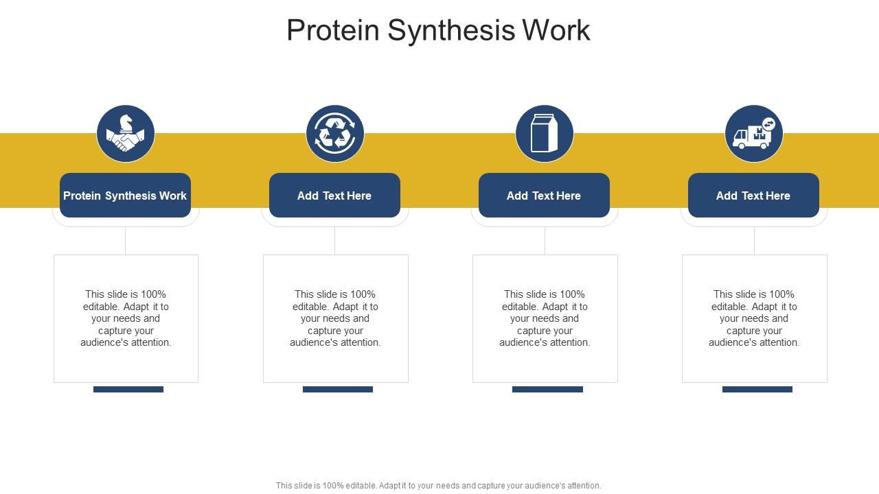 Protein Synthesis Work In Powerpoint And Google Slides Cpb