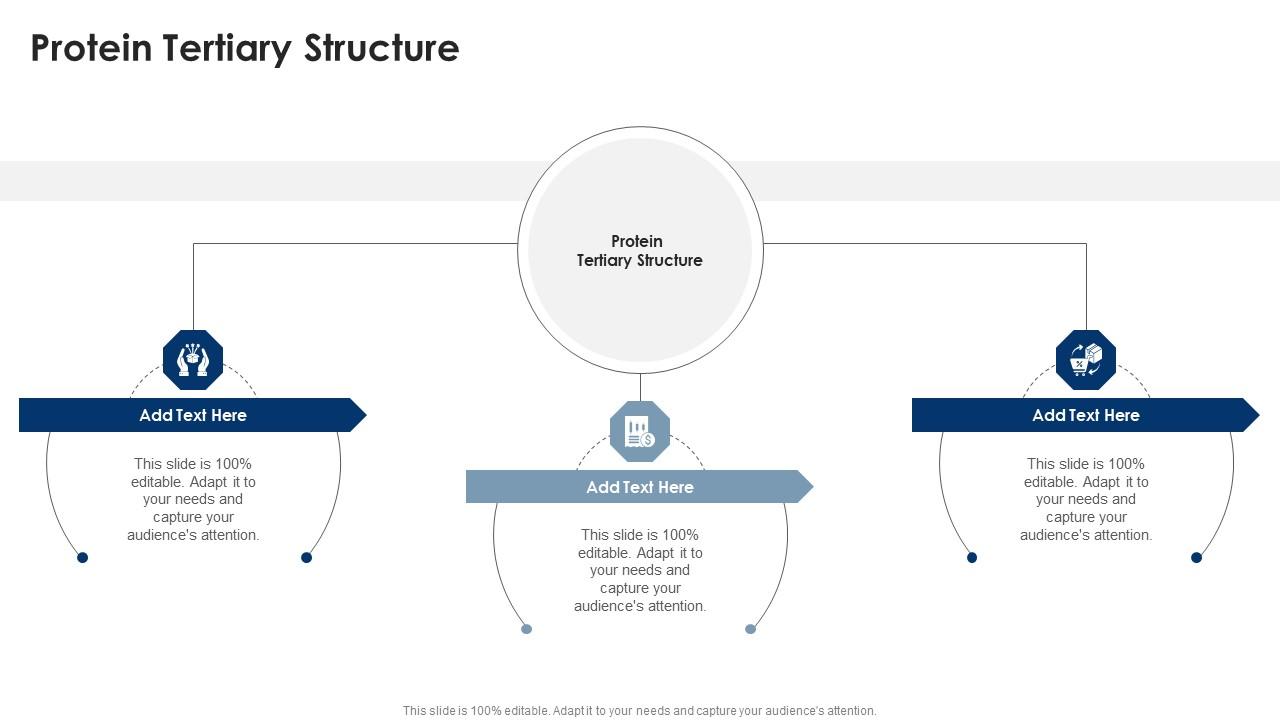 Protein Tertiary Structure In Powerpoint And Google Slides Cpb