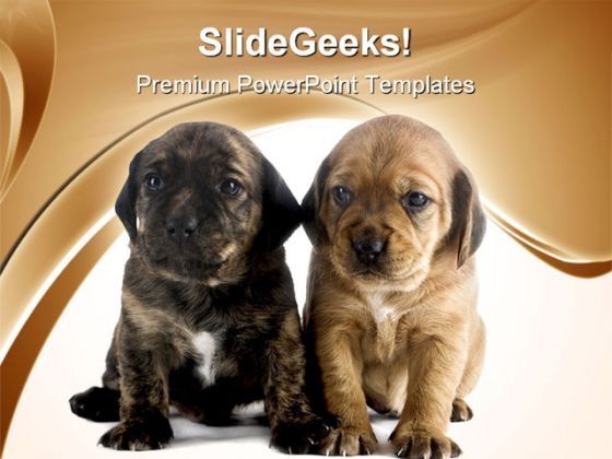 puppy_brothers_animals_powerpoint_templates_and_powerpoint_backgrounds_0711_title.jpg