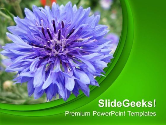 purple_flower_with_green_background_powerpoint_templates_ppt_backgrounds_for_slides_0613_title.jpg