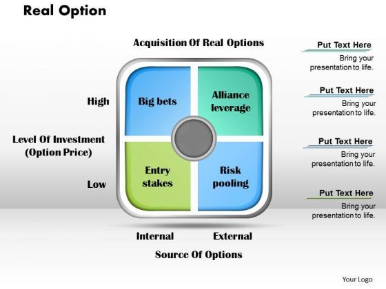 real_option_business_powerpoint_presentation_1.jpg