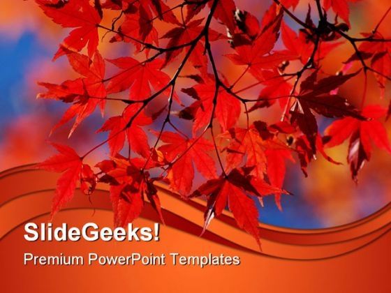 red_japanese_maple_nature_powerpoint_themes_and_powerpoint_slides_0411_title.jpg