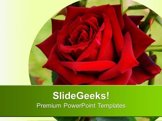 red_rose_with_background_powerpoint_templates_ppt_backgrounds_for_slides_0613_title.jpg