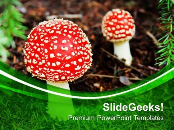 red_top_mashrooms_nature_theme_powerpoint_templates_ppt_backgrounds_for_slides_0613_title.jpg