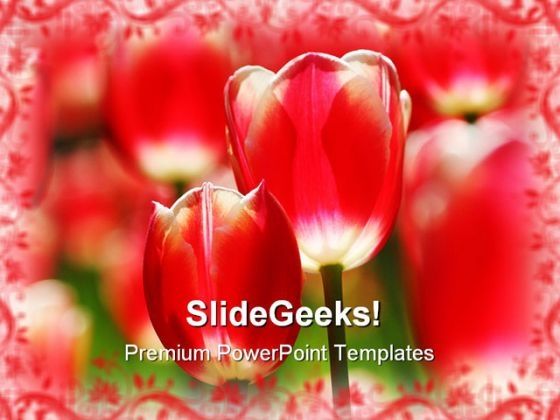 red_tulips_beauty_powerpoint_templates_and_powerpoint_backgrounds_0211_title.jpg