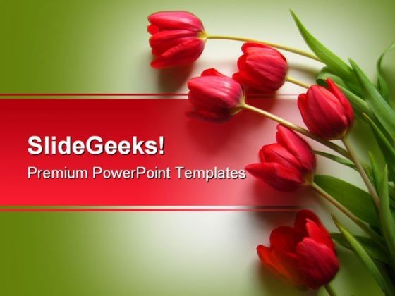 red_tulips_nature_powerpoint_template_0610_title.jpg