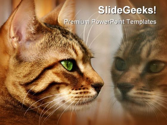 reflections_animals_powerpoint_themes_and_powerpoint_slides_0211_title.jpg