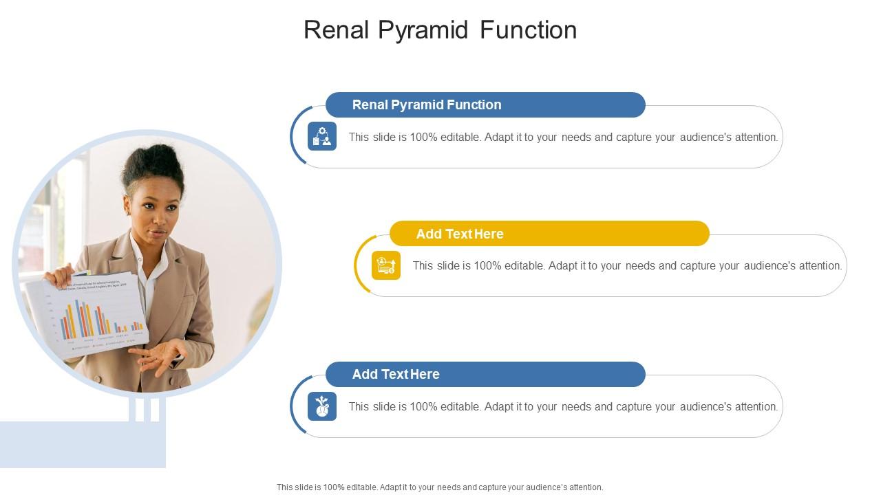 Renal Pyramid Function In Powerpoint And Google Slides Cpb