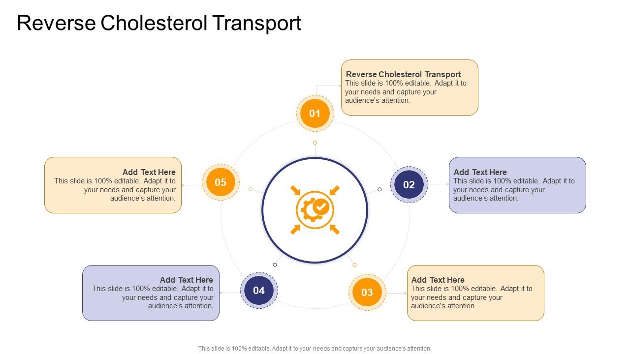 Reverse Cholesterol Transport In Powerpoint And Google Slides Cpb