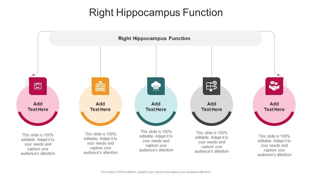 Right Hippocampus Function In Powerpoint And Google Slides Cpb
