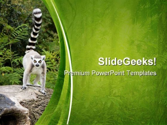 ring_tailed_lemur_on_tree_animals_powerpoint_templates_and_powerpoint_backgrounds_0611_title.jpg